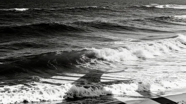 How to use your website content as AI knowledge base